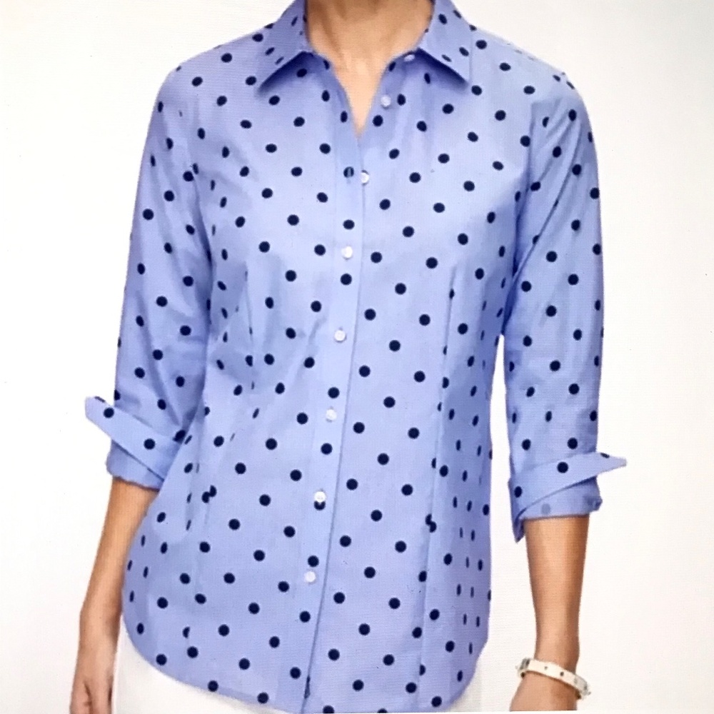 Talbots Blue Polka Dot Blouse